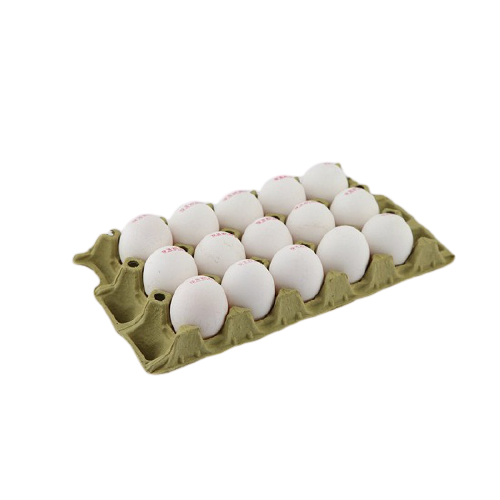 Yumurta 15 li L Boy